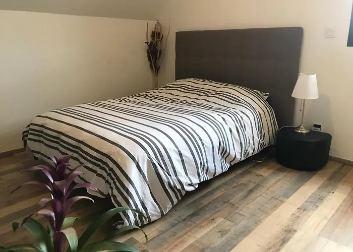 L'oree De La Bouvaque *